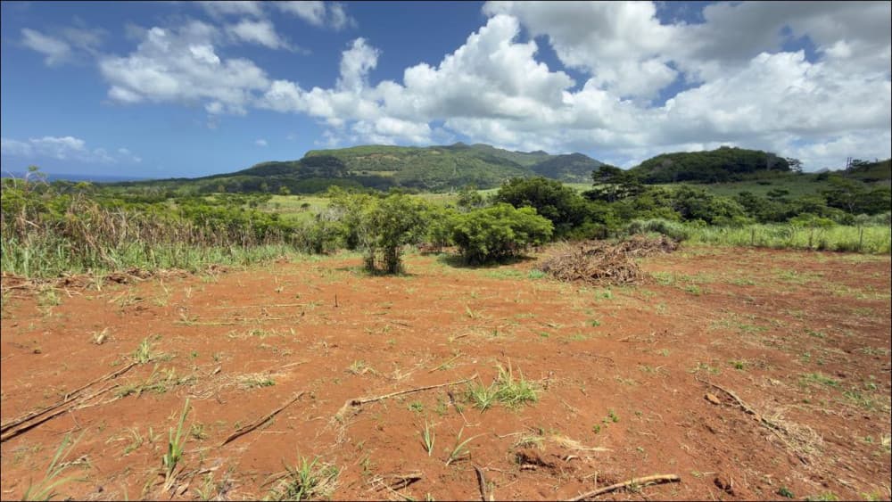 AGRICULTURAL LAND FOR SALE IN BAIE DU CAP â MORCELLEMENT FLEUR DE CANNES
