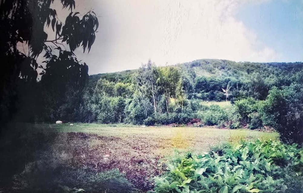 For Sale – Exclusive Residential Land in Grande Montagne, Rodrigues — image 1