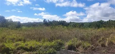 Agricultural Land for Sale in Mare Longue — image 1